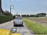 Zandlemig Vlaanderen